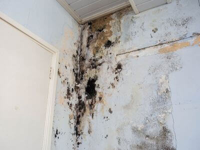 About BrightNest Support - water damage restoration experts in Glendale